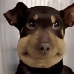 dj kenEma @ frog fest 2021