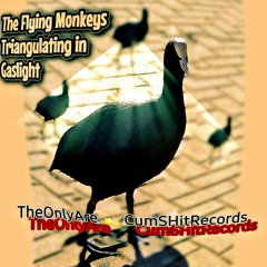 Confusion-Flying Monkeys Triangulating In Gaslight   By TheOnlyAre  💫 CumSHitRecords  2023