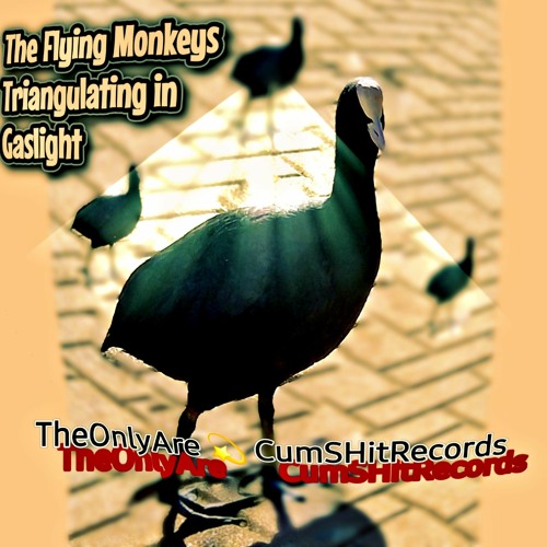 Confusion-Flying Monkeys Triangulating In Gaslight   By TheOnlyAre  💫 CumSHitRecords  2023