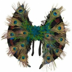 Winged Dreams
