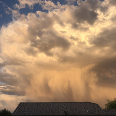 Stilll I'll Adore You