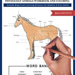 Download Veterinary Physiology Animals Workbook and Coloring | Anatomy Magnificent Learning Struc