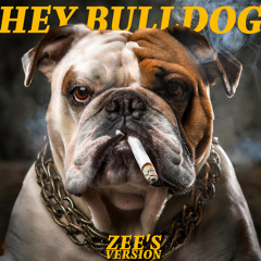 Hey Bulldog (Zee's version)