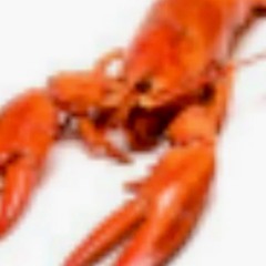Lobster Skies