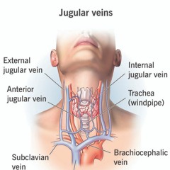 G-REAL - JUGULAR