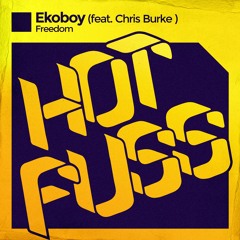 EKOBOY FT. CHRIS BURKE - FREEDOM (RADIO EDIT)