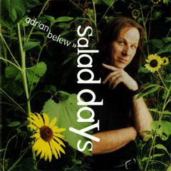 Adrian Belew – Salad Days