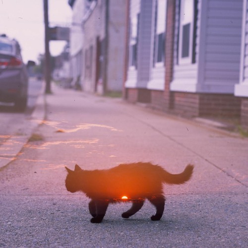 April Reawakening Mix (2021)