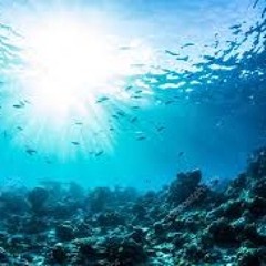 Submerge