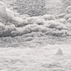 tundra,igloo.212 (dash)
