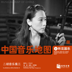 Racing top horse erhu