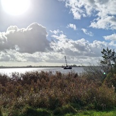 The Untitled - Sorry For The Inconvenience