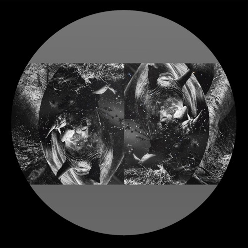 CF Premiere: Joton - Shadow Pulse [Illegal Alien LTD]