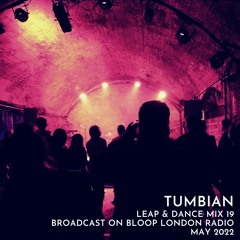 Leap & Dance Mix 19