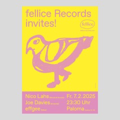 2025-02-07 Live At Fellice Records Invites Nico Lahs @ Paloma (Berlin)