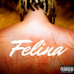 Felina - WIU & Ryan SP  ( Zouk Remix Bootleg Slowed + Reverb )