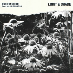 Light & Shade (ft. Majin Blobfish)