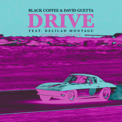 Black Coffee, David Guetta - Drive (CASALOVE Remix)