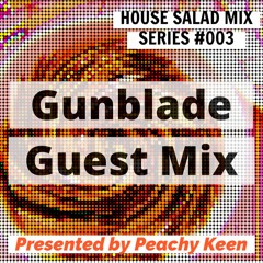HOUSE SALAD MIX SERIES 003: Gunblade Guest Mix