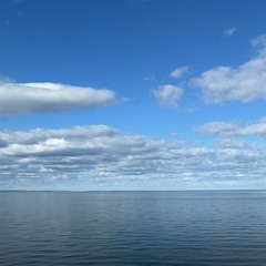 "Can't Tell Me" (Remix)