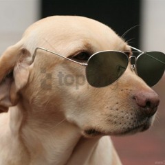 Mag die bass wat zachter