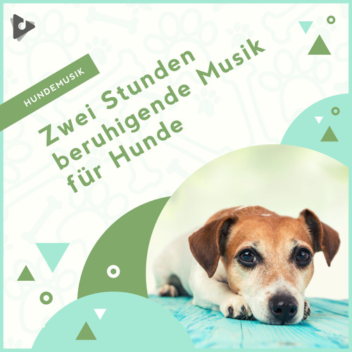 Stream Hundemusik | Listen to Zwei Stunden beruhigende Musik für Hunde  playlist online for free on SoundCloud