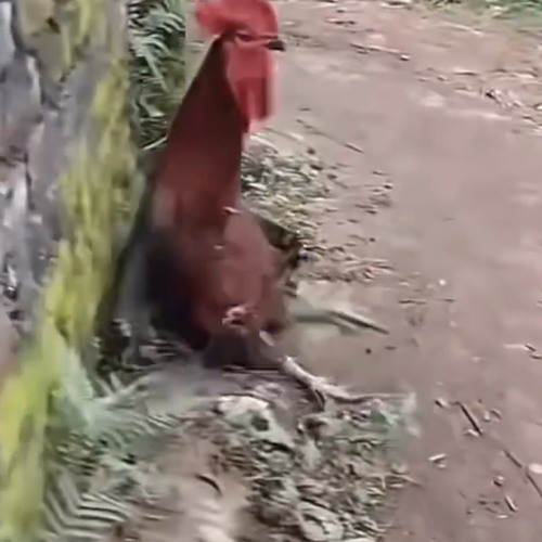 160er - [ONE.PATTERN]