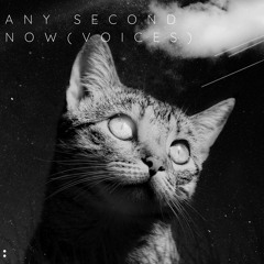 Any Second Now (Voices) - a Depeche Mode cover by Sekret oktober featuring minimalnomad