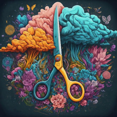 Imagination