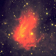 Der Fluch (feat. Birte MC)