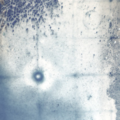 sortir de ce mode de vie (remix nobodyslikebirdie x lim)