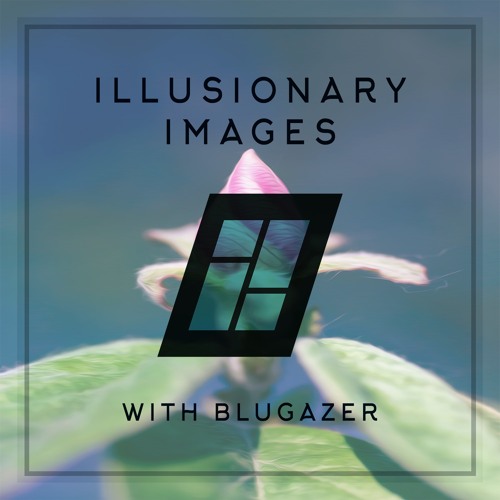 Illusionary Images 114 (May 2021)
