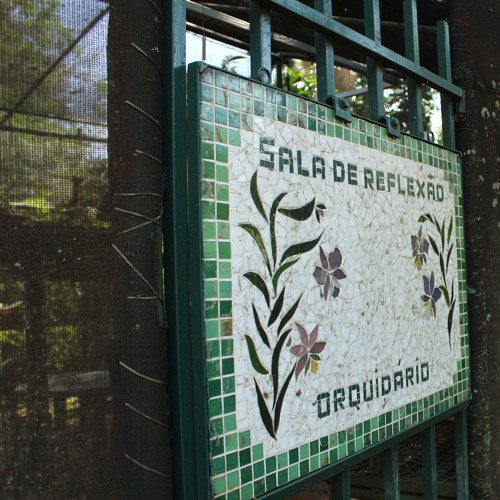 Listen to music albums featuring 03.11.2024 Cap. XVII Sede