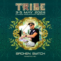Broken Switch @ Tribe Festival 2024