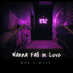 Wanna Fall In Love x WLLY