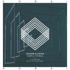 PREMIERE: Vagner Silveira ─ Simple Things (Alex Efe Remix) [KODAI]
