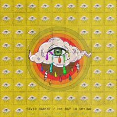 David Hasert - The  Sky Is Crying (Original Mix)