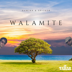 Shmina, Spijker - Walamité