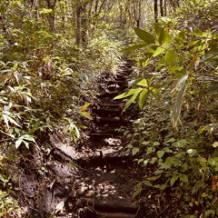 RIP STOP / DDLYCMB 019 (KGZH,CHUCKIE,BURGUNDY CURRY) prod.FLAPNICE