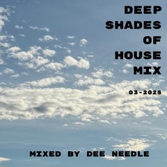 Deep Shades Of House Mix (03-2025)