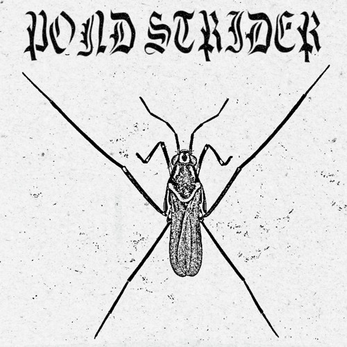 Stream Surface Tension by Pond Strider Listen online for free on
