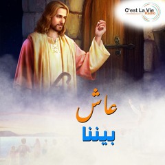 برنامج عاش بيننا-العذراء مريم-مع رفيق جمال-الحلقة 14