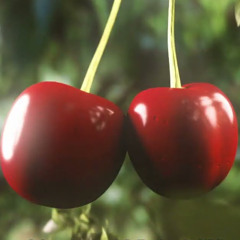 BLING BLING (Ikkimel Frostekk bootleg)