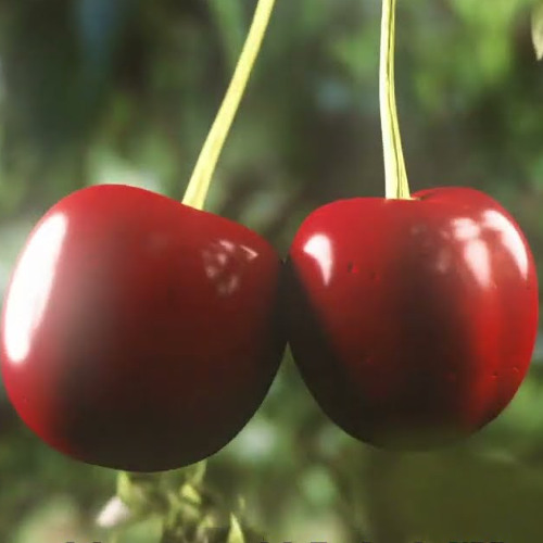 BLING BLING (Ikkimel Frostekk bootleg)