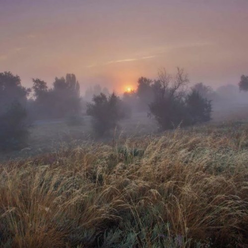 Alecrose romantic background music 🌎FREE DOWNLOAD