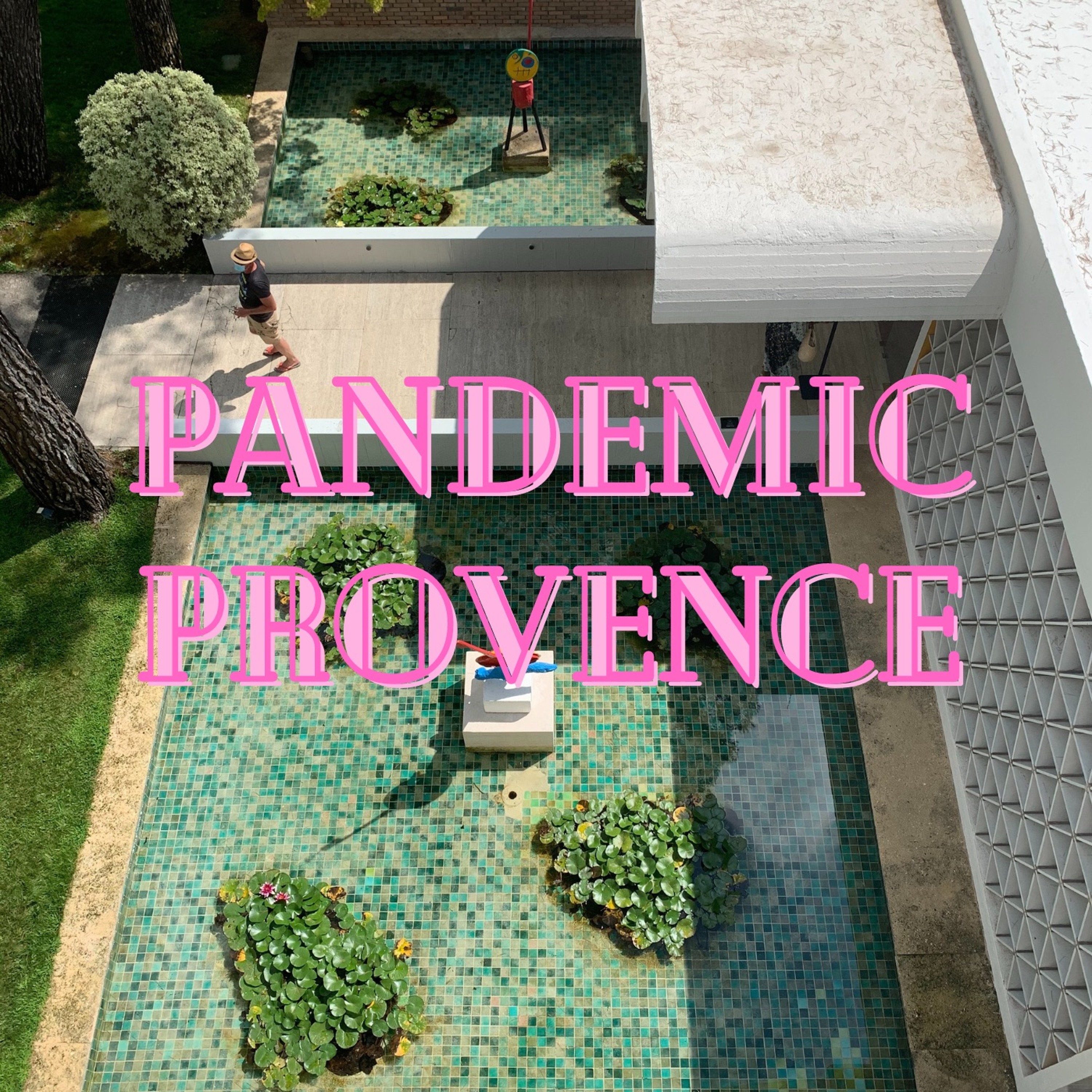 Pandemic Provence