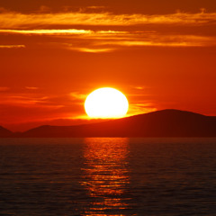 49 Buttons Sunset Summer 2025