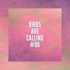 Maz @ Birds Are Calling #06