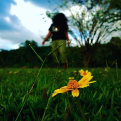 Track 1 (Lukrow)