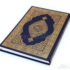سورة القيامة  بصوت القارئ  الشيخ _ فادي الدالي).mp3